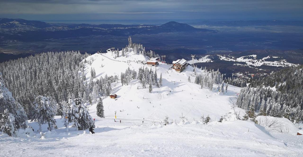 Mountain Lodge Rîşnov Eksteriør billede