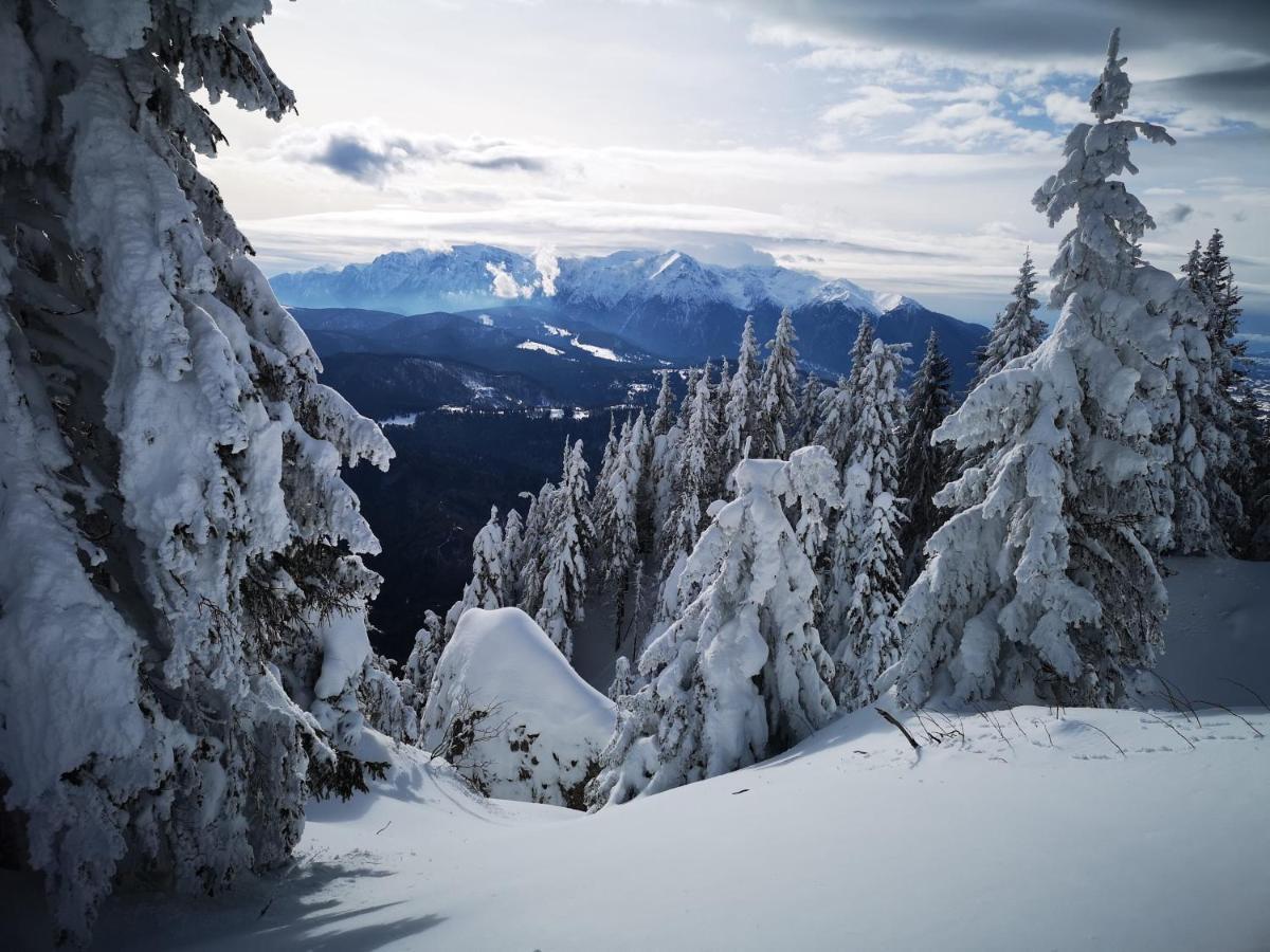 Mountain Lodge Rîşnov Eksteriør billede