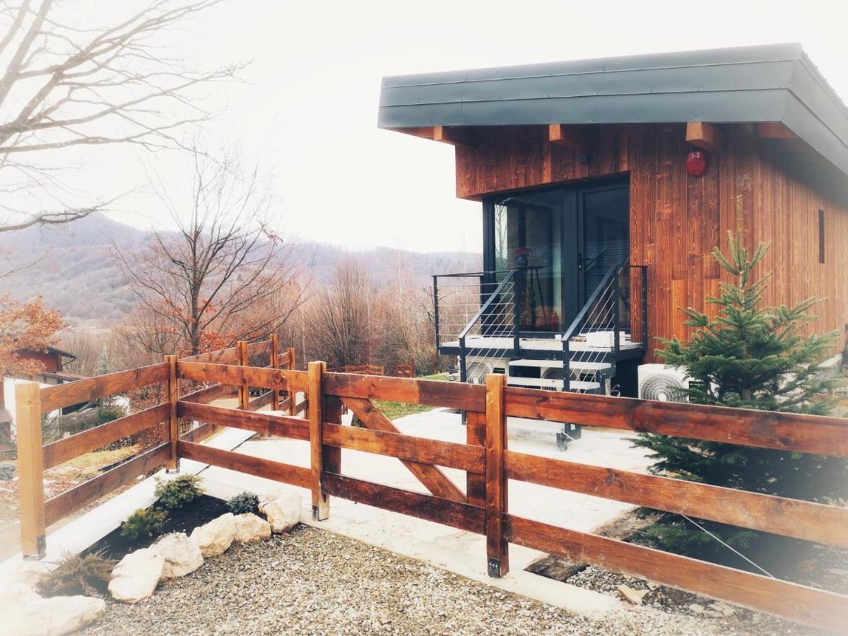 Mountain Lodge Rîşnov Eksteriør billede